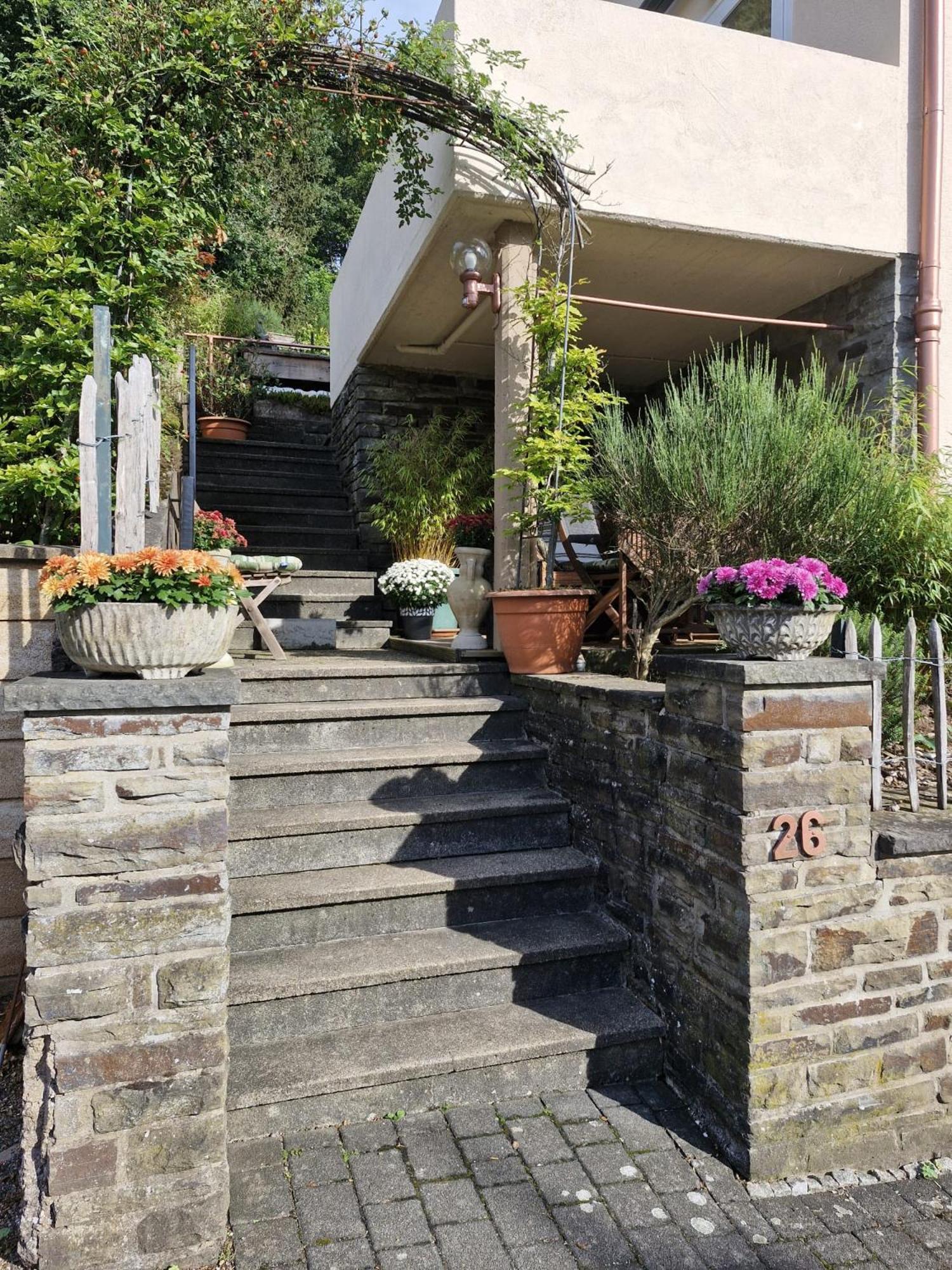Alter Werkstatt Apartment Junkerath Exterior photo